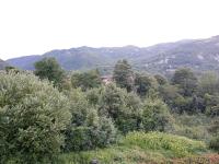 Relax sull'Appennino - B&B