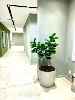 Moema URBAN Heaven - Piscina - Prox Metro - Prox Sh Ibirapuera - Cama Queen - Internet 500mbps - Ar cond - Cozinha completa - Academia - Churrasqueira - Chambres d'hôtes São Paulo
