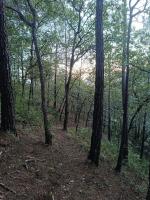 Cabaña Vista Pinares San Ignacio Chalatenango - B&B Chalatenango