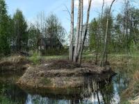 Brzozowisko - B&B Brzozówka