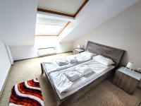 Bansko LUXURY 2 bedroom apartment - SKI&SPA resort - B&B Bansko