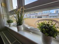 Stan Svetozara Markovića 5A - B&B Bania Luka