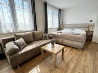 Apartment mit 1 Schlafzimmer