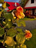 Stolove Chatki Radków - B&B