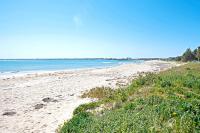 Pet-friendly Beachfront Family Retreat - B&B