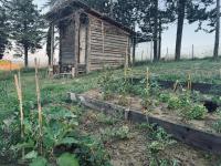 Villa immersa nei campi - B&B Casalfiumanese