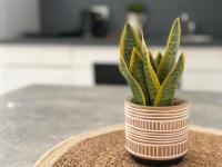 Fährhaus - B&B Brunsbüttel