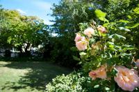 Camera Matrimoniale con Bagno in Comune 