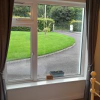 Forest view - B&B Ballycassidy