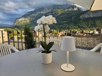Premium Apartments - central & historical - B&B Meiringen