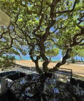 Villa No2 - Sun Tan Palmar - B&B