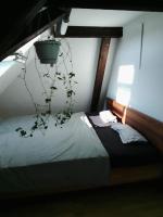 Bequemes, ruhiges Zimmer mit Doppelbett in der Nähe des Zentrums und des Bahnhofs - Bed and Breakfast Binningen