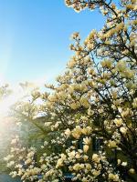 Corso131-Dimora Storica nel Centro Storico - B&B Lucca