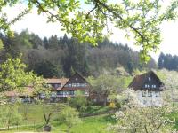 B&B Seebach - Ferienhof Fischer - Bed and Breakfast Seebach