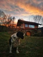 Studio Belvedere - B&B Mălăeşti