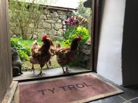 Ty Trol - B&B Dolgellau