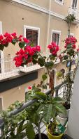 Home Sicilia - Ferienwohnung Sant'Agata di Militello