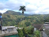 Royal homestay at Misty Mountain - B&B Ella Town
