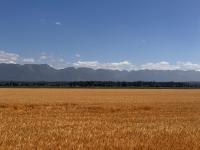 Glacier Park Hideaway - Ferienwohnung Columbia Falls