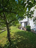 Ammonit - B&B Münsingen