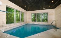 Tennessee Swim - Ferienwohnung Pittman Center