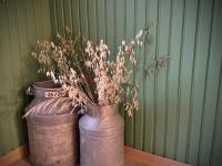 Appartamento con 1 Camera da letto con doccia