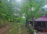 Cabana Muntele Rece - Bed and Breakfast Muntele Rece