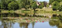 Liabaquet Gîtes - B&B