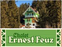 Chalet Ernest Feuz - Edelweiss Village - Ferienwohnung Golden
