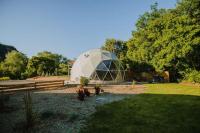 Zen Zion Evergreen Dome - B&B Glendale