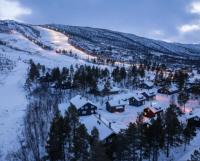 4-Bedroom Ski-In Family Cabin at Geilolia hyttetun - Bed and Breakfast Hol
