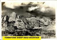 WELCOME TO VIGILANTE INN "Earp" - Chambres d’hôtes Tombstone