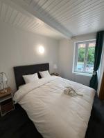Deluxe One-Bedroom Apartment