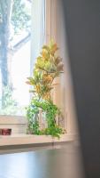 Chic 1BR City center Sleeps 4 Brämaregården - B&B Gothenburg
