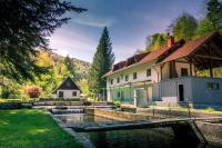 Stara ribogojnica & Pohorska postrv - B&B Ruše