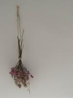 Locazione Culturale - Short Rent in Atri - - Chambres d’hôtes Atri