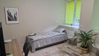 Twin Room with Shared Bathroom
