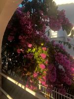 Apartments Zvijezda - B&B Rogoznica