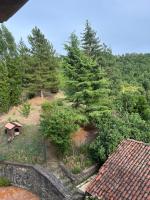 Doppel-/Zweibettzimmer mit Gartenblick