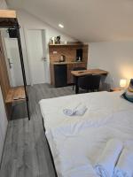 Studio Apartment with King Bed
