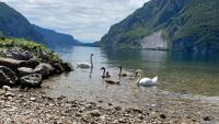 Grand View Como Lake Apartment 2 - Bed and Breakfast Abbadia Lariana