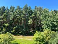 Appartamento Deluxe con 2 Camere da Letto e Balcone