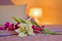 Apartment mit 1 Schlafzimmer und Dusche