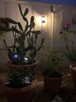 Il Giardino Segreto - Bed and Breakfast Maglie