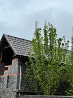 QahramanoffsChalet - Bed and Breakfast Gabala