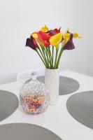 Apartament Roxy - B&B