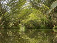 Ama Ecolodge - B&B