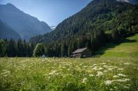 La Chotte du Musher - Bed and Breakfast Champéry