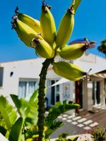 Casita del Toro - Ferienwohnung Vinaròs