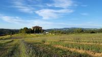Locanda Cugnanello - B&B